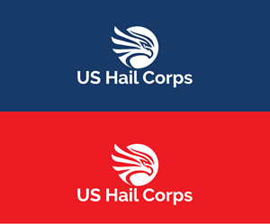 Logo Design by Spark  Design for Integrity Auto Hail Repair | Design: #33146187