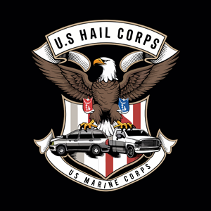Logo Design by Mir Graphics for Integrity Auto Hail Repair | Design: #33145843