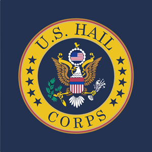 Design de Logo par Mir Graphics pour Integrity Auto Hail Repair | Design : #33148132