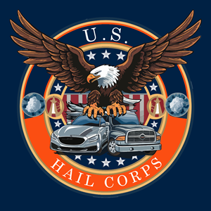 Design de Logo par Mir Graphics pour Integrity Auto Hail Repair | Design : #33154004