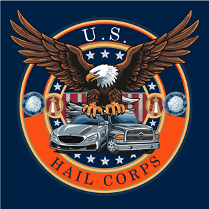 Design de Logo par Mir Graphics pour Integrity Auto Hail Repair | Design : #33156864