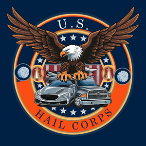 Design de Logo par Mir Graphics pour Integrity Auto Hail Repair | Design : #33157324