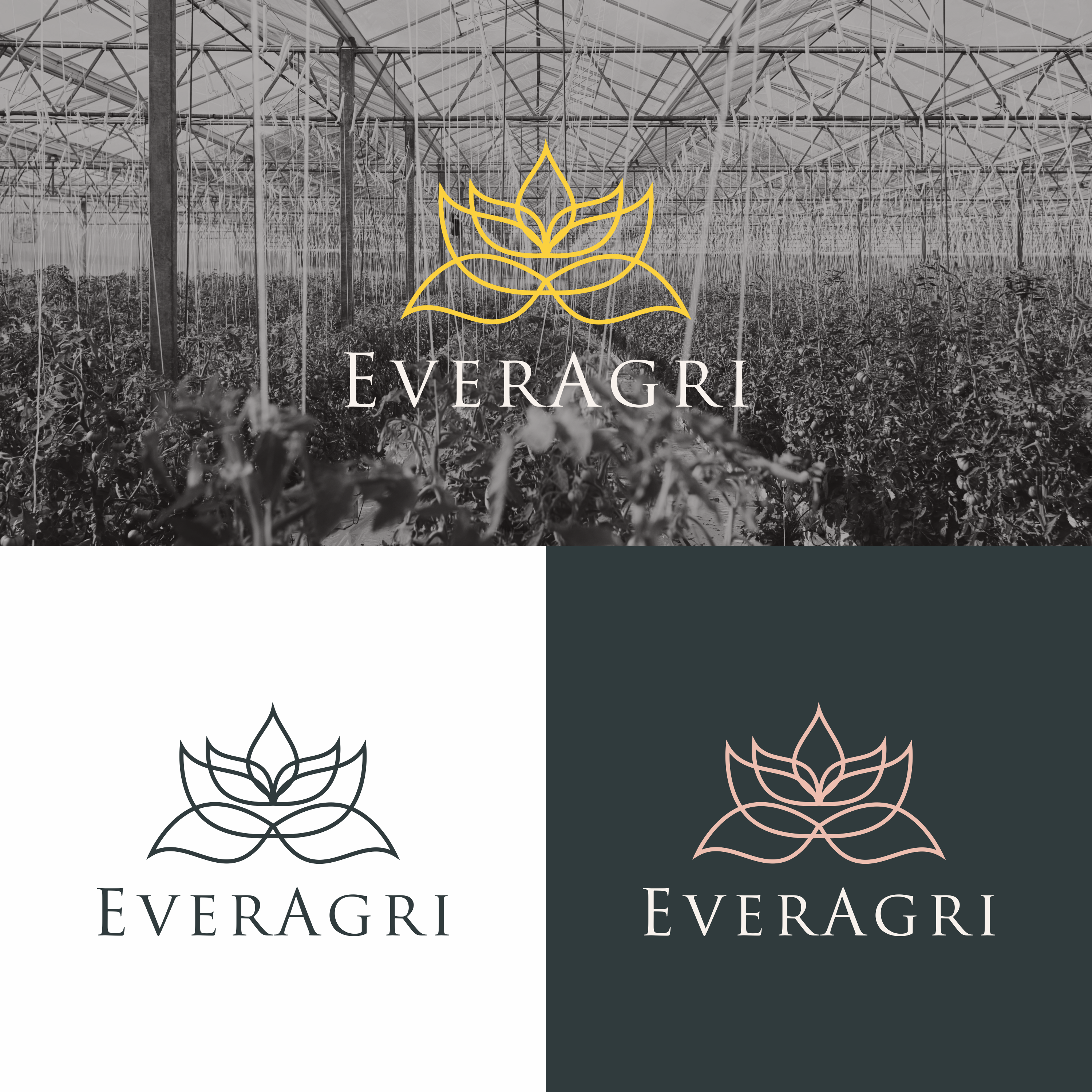 Diseño de Logo por arillingga para este proyecto | Diseño #33156659