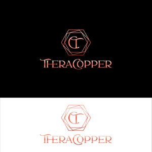 Logo Design by Barish Design for this project | Design: #33183695