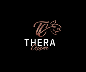 Logo Design by Ansh Design for this project | Design: #33161678