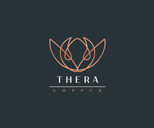 Logo Design by Ansh Design for this project | Design: #33161682