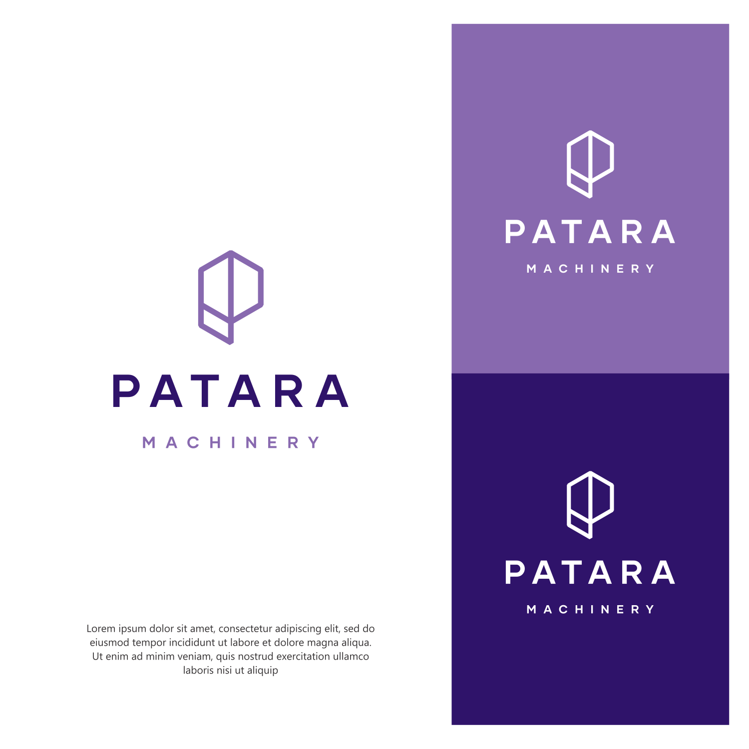Logo Design by ThiagoB for this project | Design #33158569