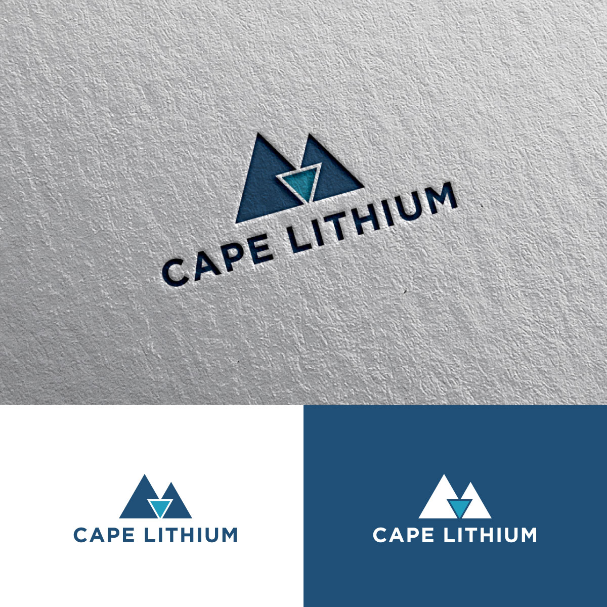 Logo Design by chris Ray for this project | Design #33165792