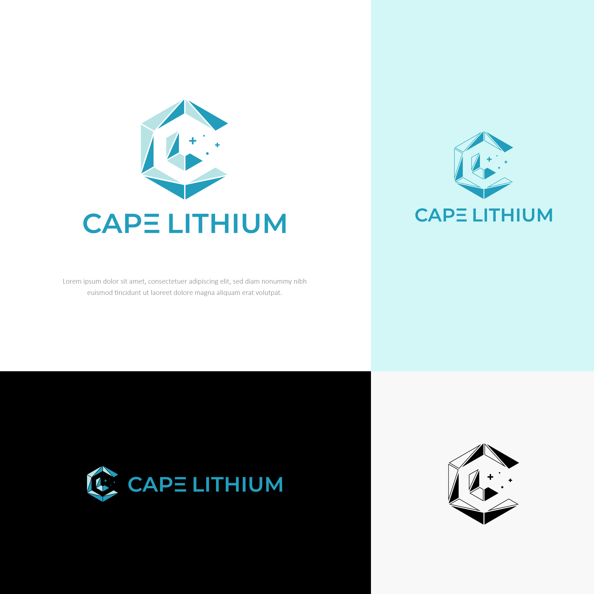 Logo-Design von Transformed Design Inc. für dieses Projekt | Design #33175505