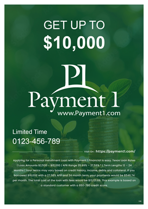 Flyer Design by pb for Payment 1 Financial | Design: #33193598