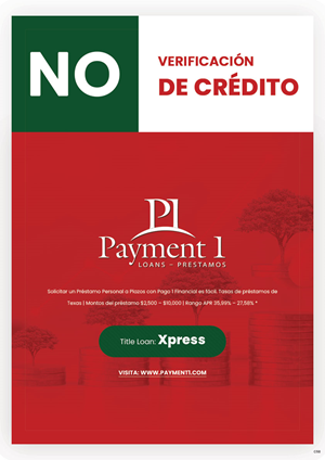 Flyer Design by pb for Payment 1 Financial | Design: #33193608