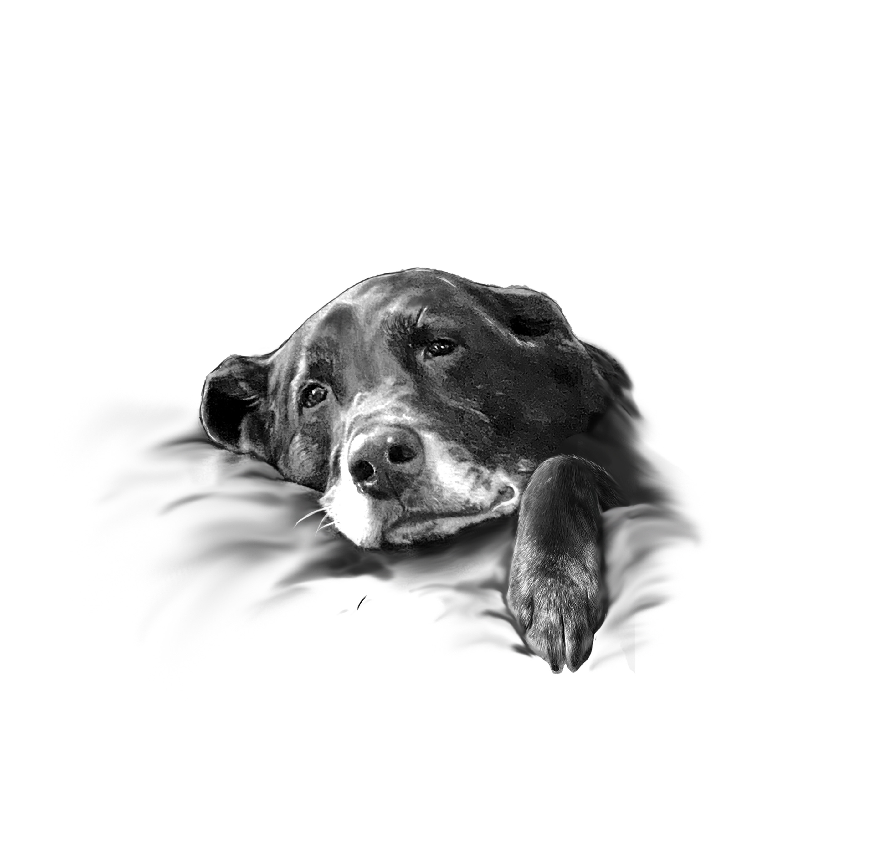 Diseño de Tatuaje por ELAMANTS para este proyecto | Diseño #33228843