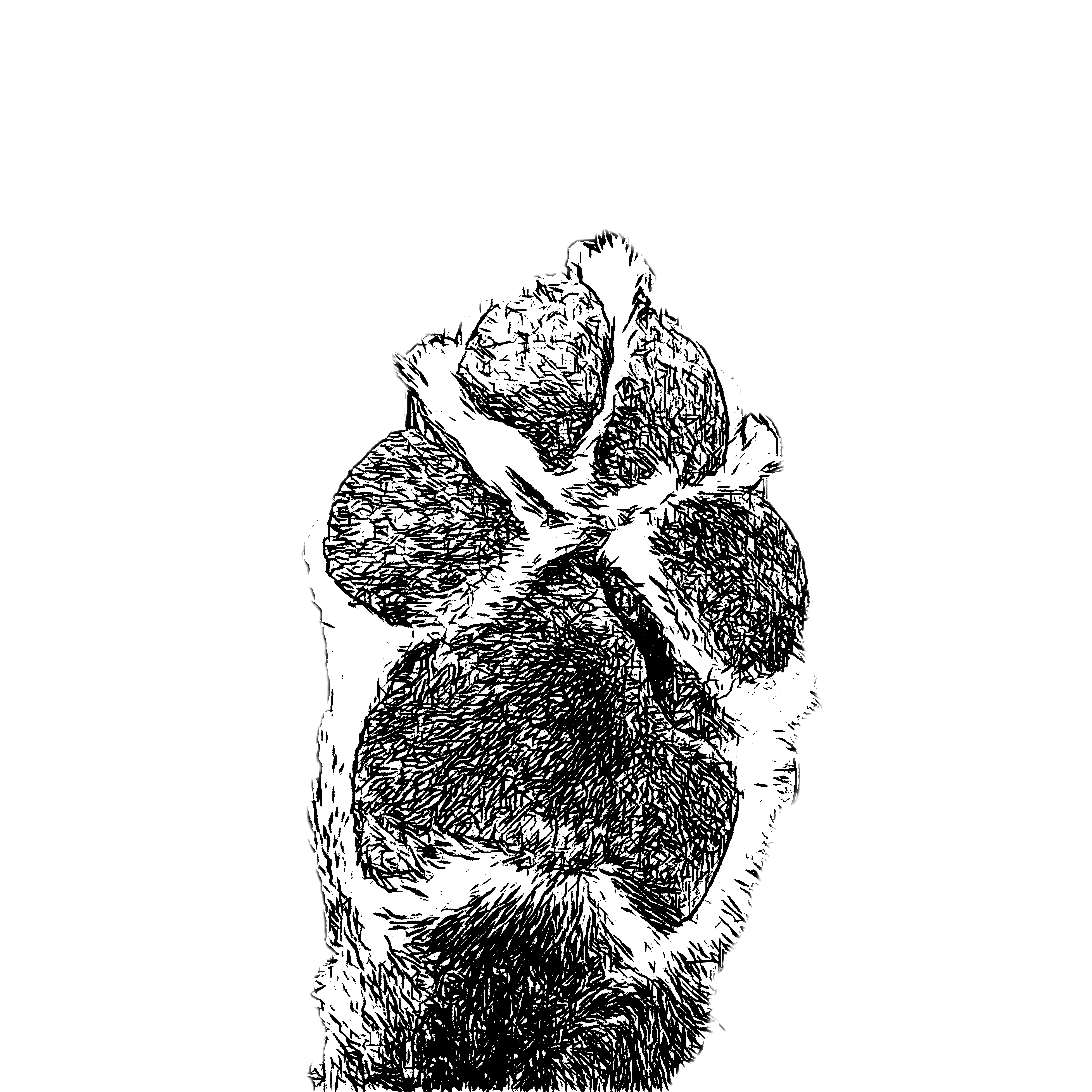 Design de Tatouage par hookstd pour ce projet | Design : #33310628