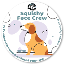 Aufkleber-Design von Moschoula für dieses Projekt | Design #33203629