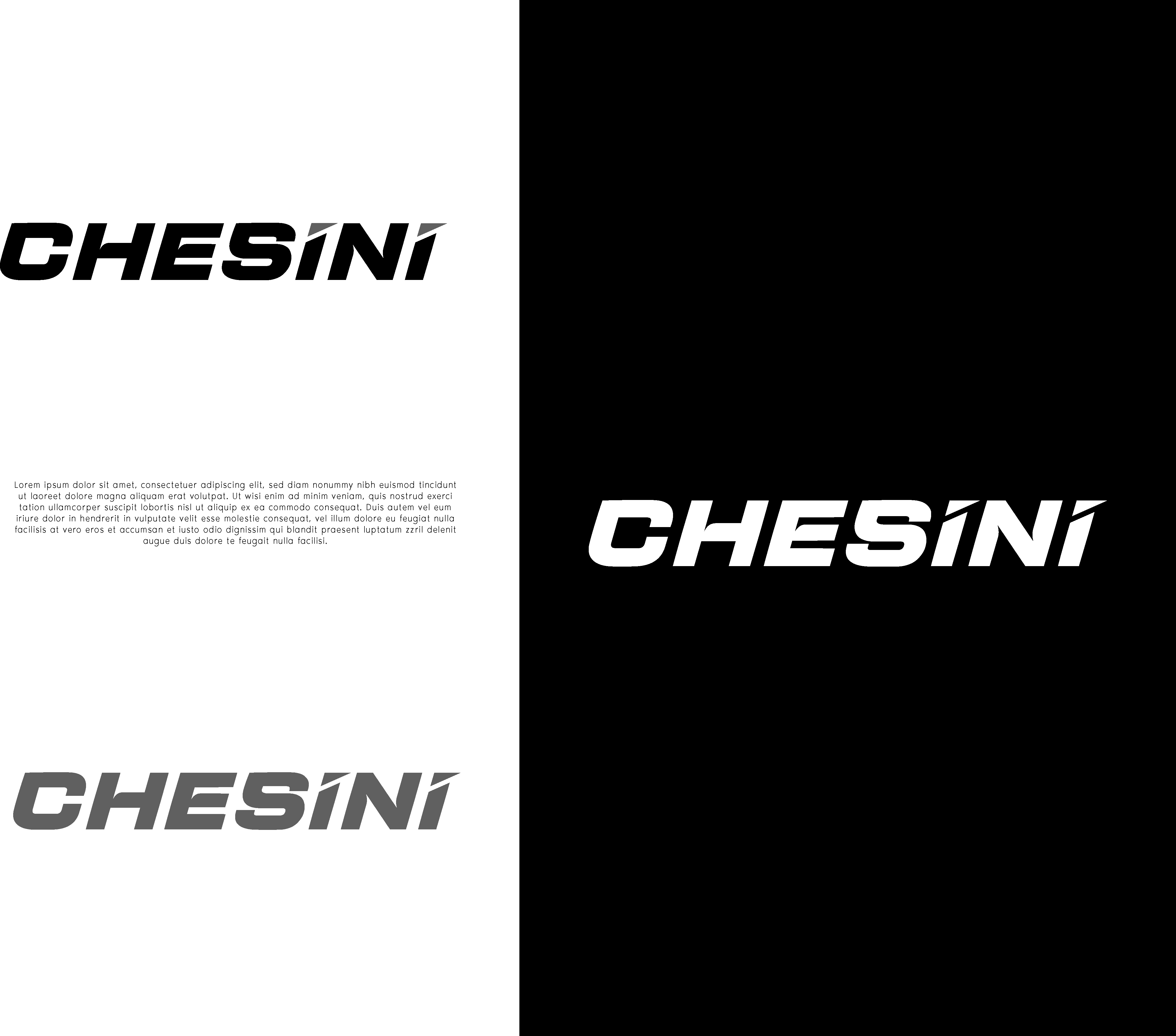 Logo Design by Innovative Graphix for CHEBIKE srl | Design #33218318