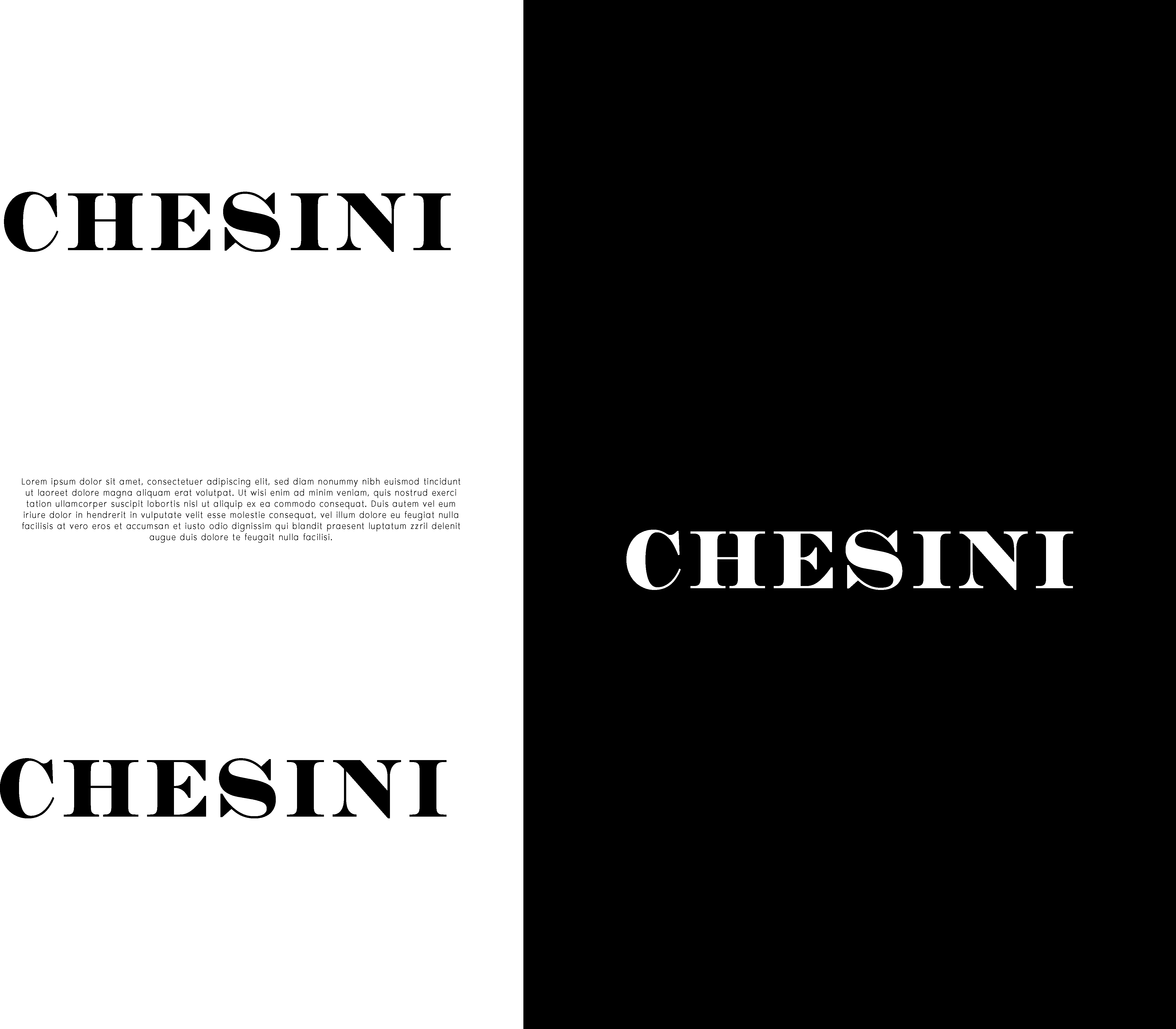 Logo Design by Innovative Graphix for CHEBIKE srl | Design #33218484