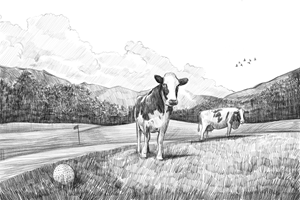 Illustration Design by Soumen Sinha