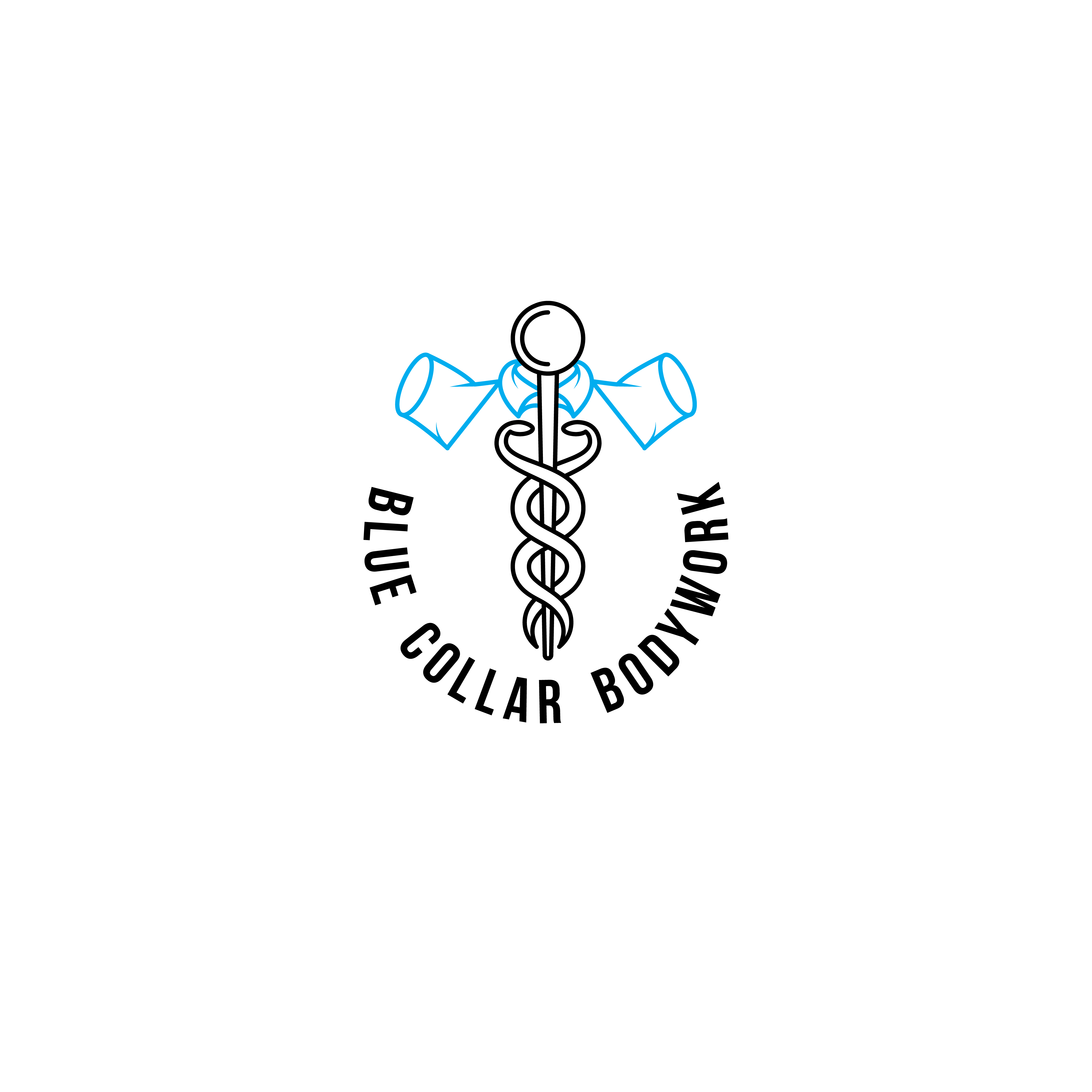 Logo Design by the3kings for this project | Design #33229788