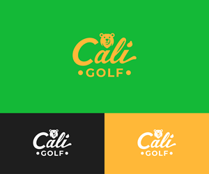 Logo Design by Boril Std for this project | Design: #33227371