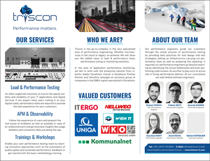 Diseño de Flyer por MarkoE para triscon IT-Services GmbH | Diseño #33236037