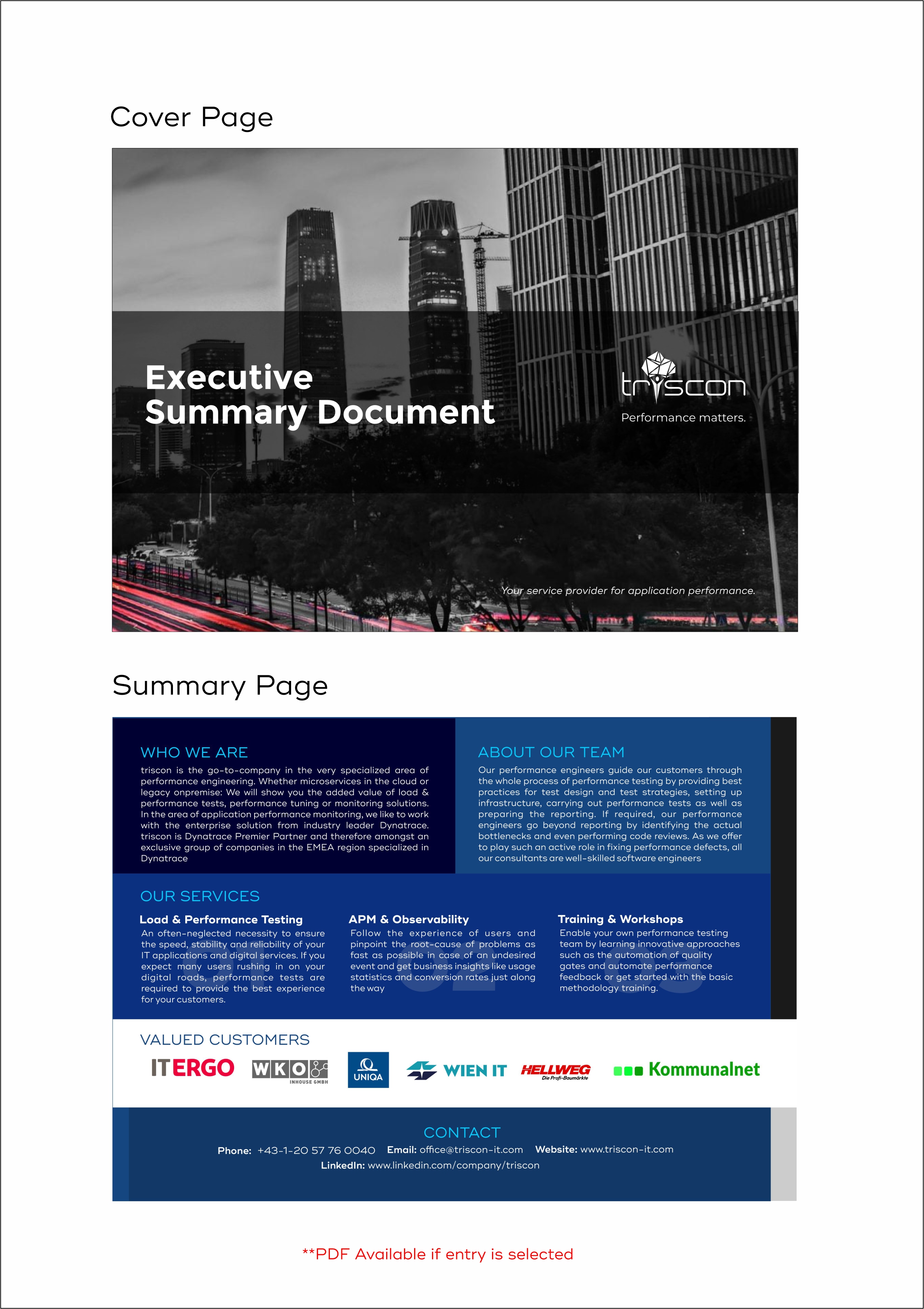 Design de Flyer par Grip19 pour triscon IT-Services GmbH | Design #33234745