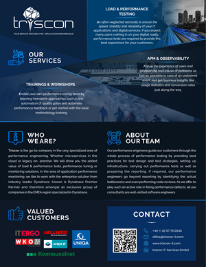 Design de Flyer par yusmoker pour triscon IT-Services GmbH | Design : #33319932