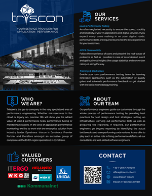 Design de Flyer par yusmoker pour triscon IT-Services GmbH | Design : #33319935