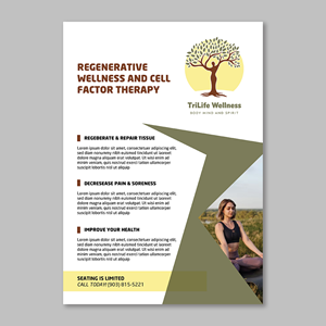 Design de Flyer par YourLogoMaster pour ce projet | Design : #33238747