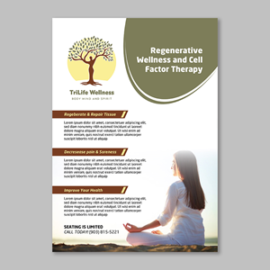 Design de Flyer par YourLogoMaster pour ce projet | Design : #33238748