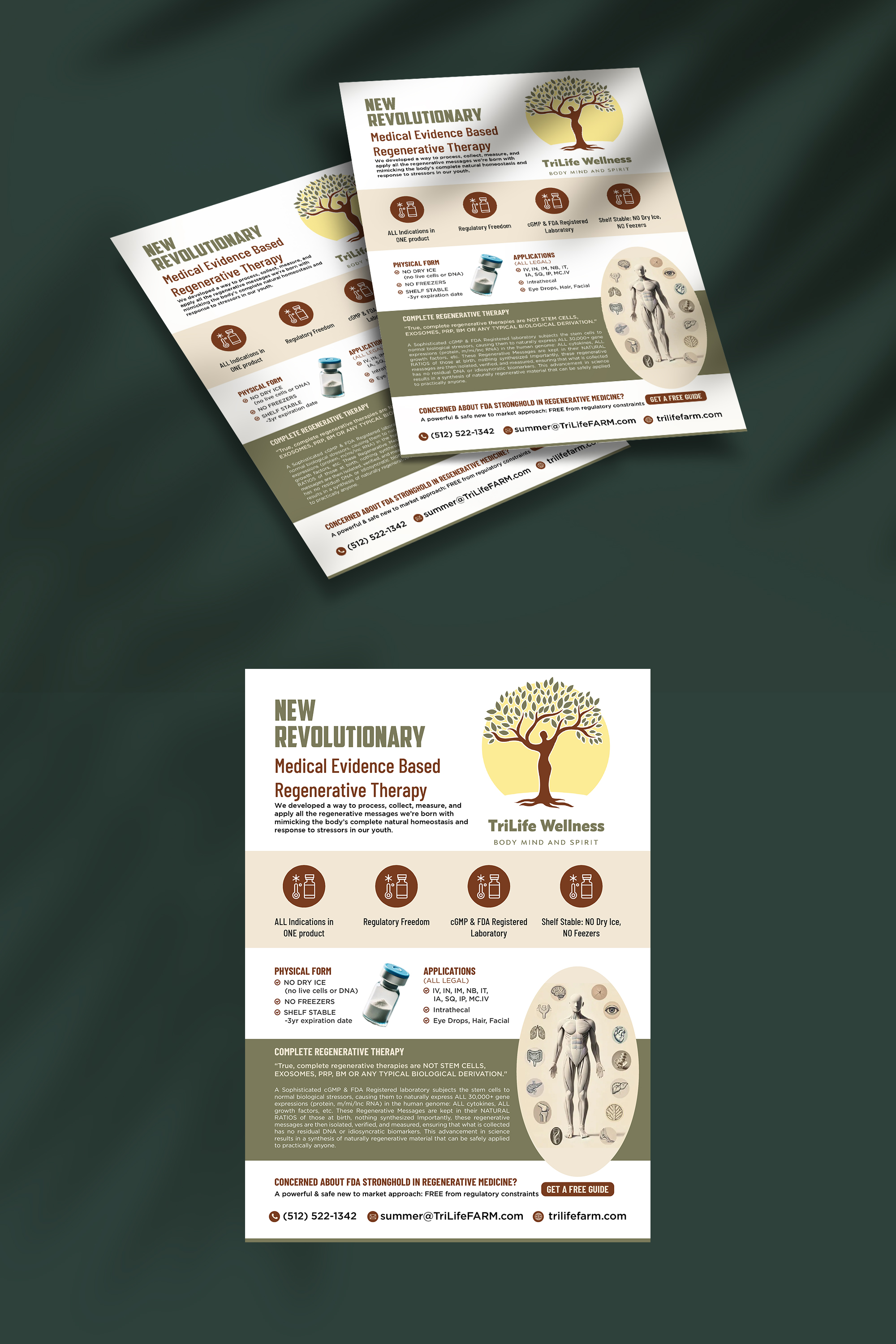 Diseño de Flyer por websmartusa para este proyecto | Diseño #33242136
