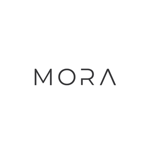 Logo Design by Naseeb