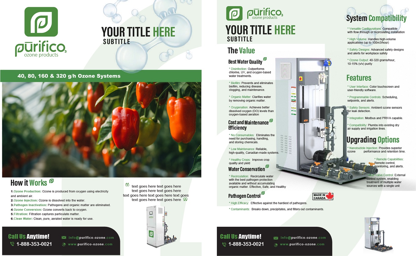 Flyer Design by WafDesigner for this project | Design #33245343