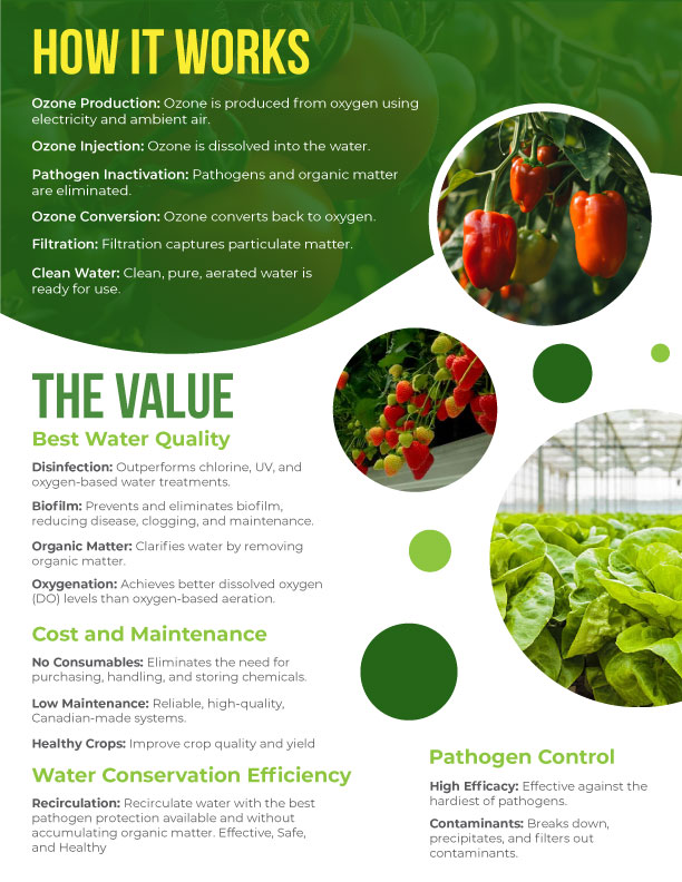 Flyer-Design von Suvendu.S für dieses Projekt | Design #33255760