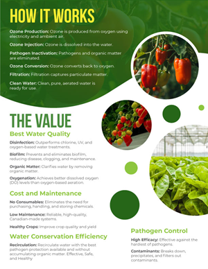 Flyer Design by Suvendu.S for this project | Design: #33255761