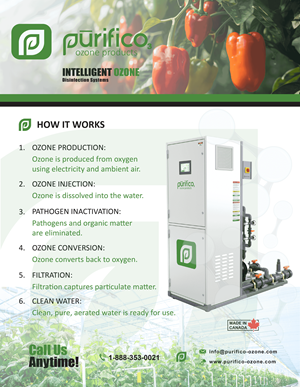 Flyer Design by MAS Design