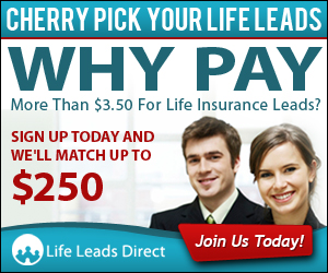 Banner Ad Design by neboica for iLeads.com | Design: #3108512
