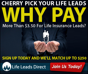 Banner Ad Design by neboica for iLeads.com | Design: #3108520