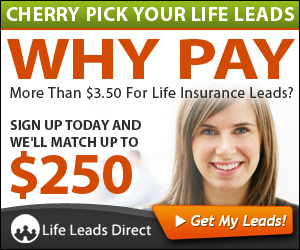 Banner Ad Design by neboica for iLeads.com | Design: #3128871
