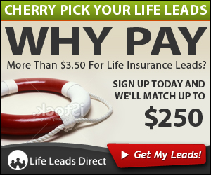 Banner Ad Design by neboica for iLeads.com | Design: #3128875