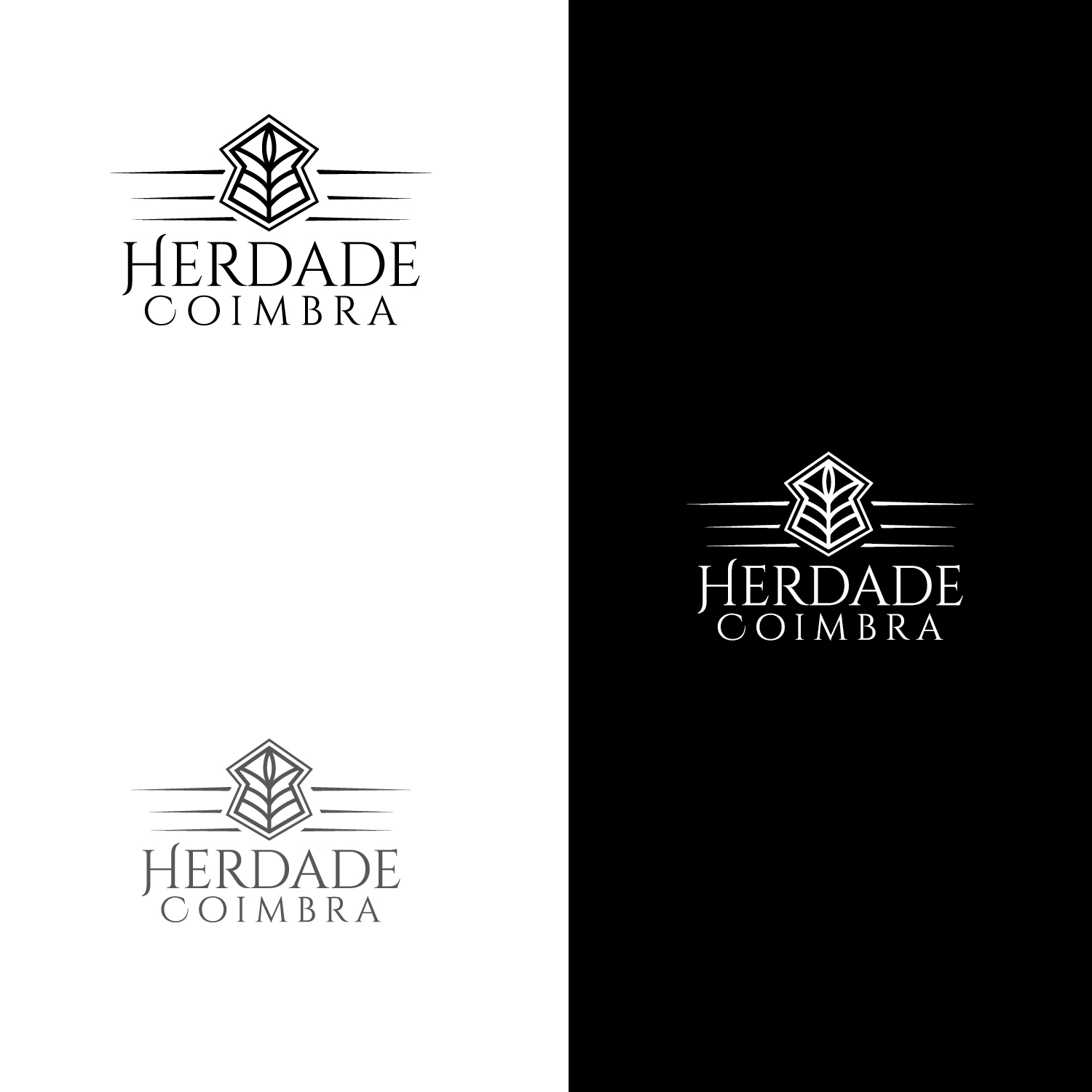 Logo Design by Maxo-Biz for this project | Design #33256092