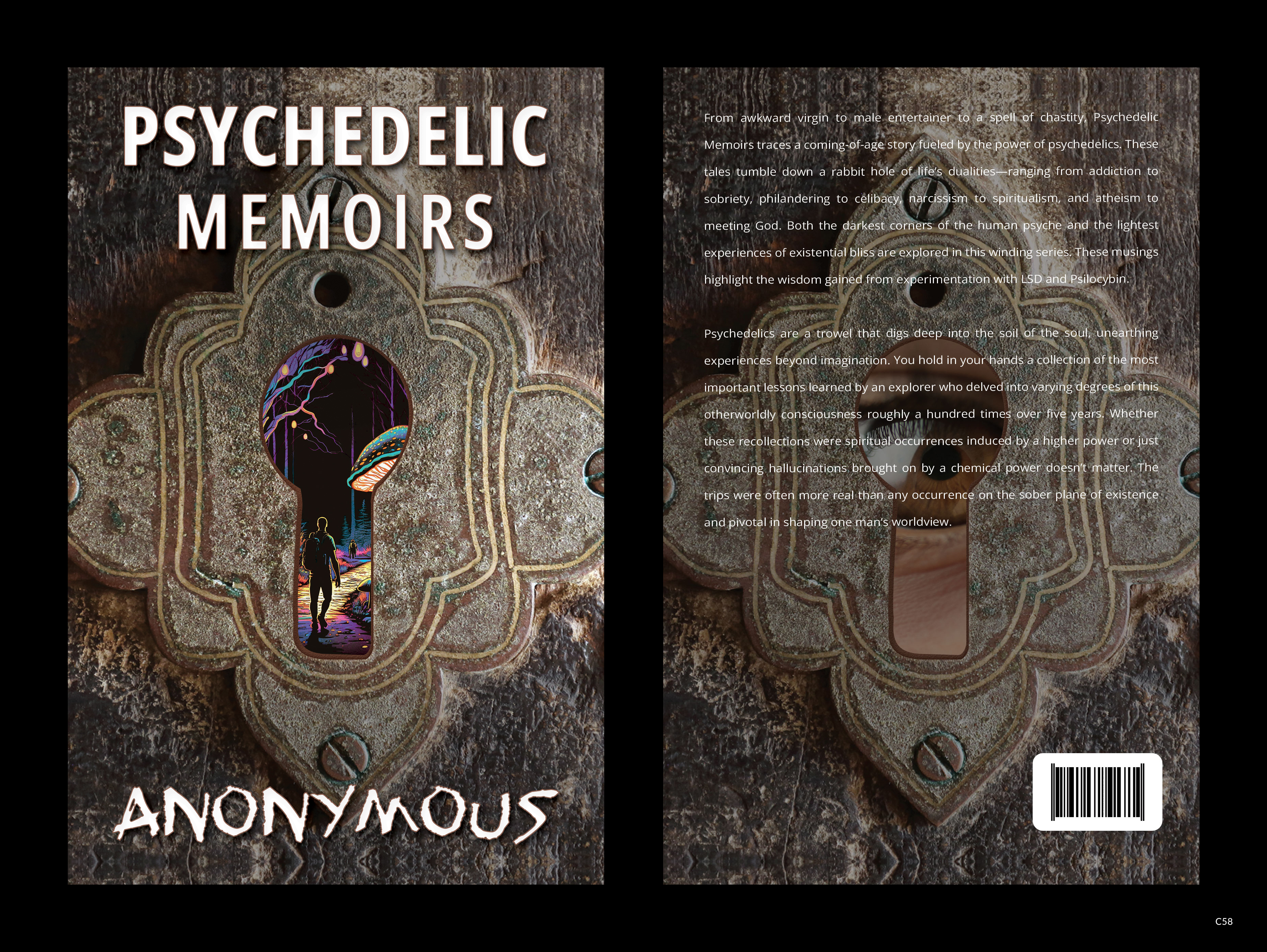 Book Cover Design by pb for this project | Design #33264573