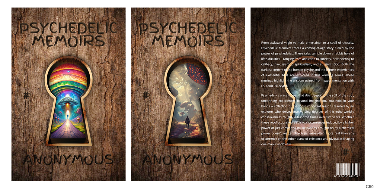 Book Cover Design by pb for this project | Design #33270520