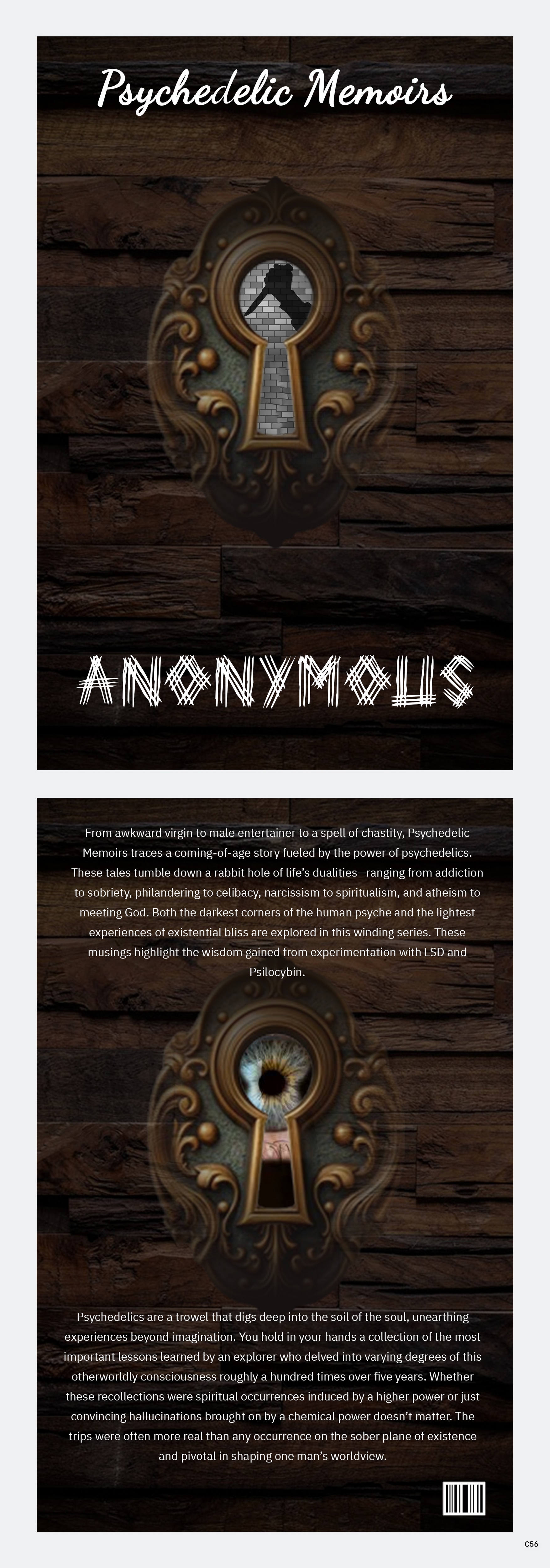 Book Cover Design by pb for this project | Design #33270525