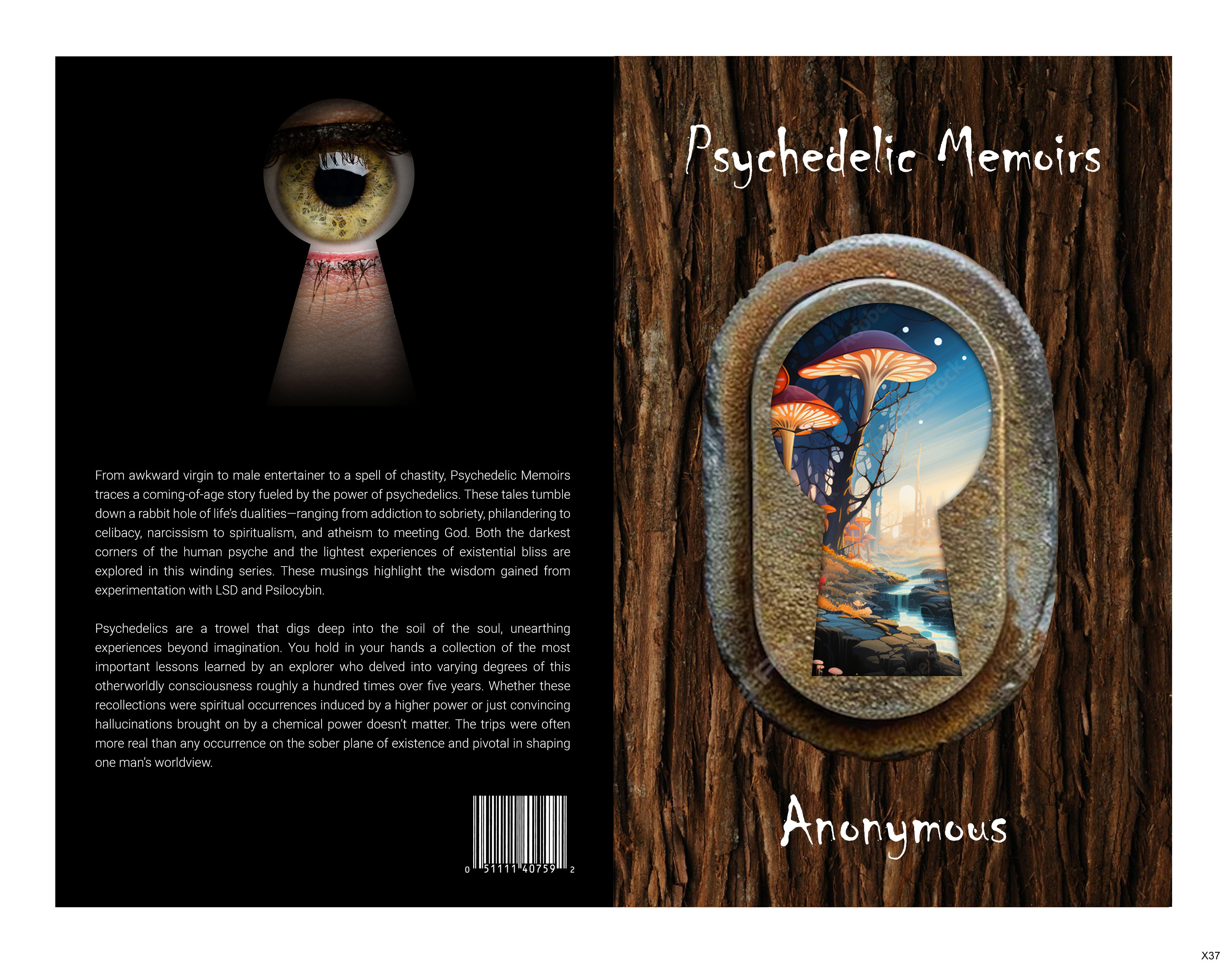 Book Cover Design by pb for this project | Design #33270527
