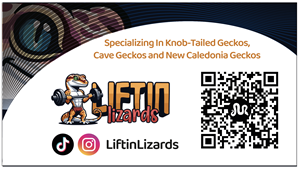 Business Card Design by ososan