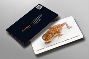 Business Card Design by chandrayaan.creative for this project | Design: #33255925