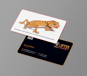 Business Card Design by chandrayaan.creative for this project | Design: #33255927
