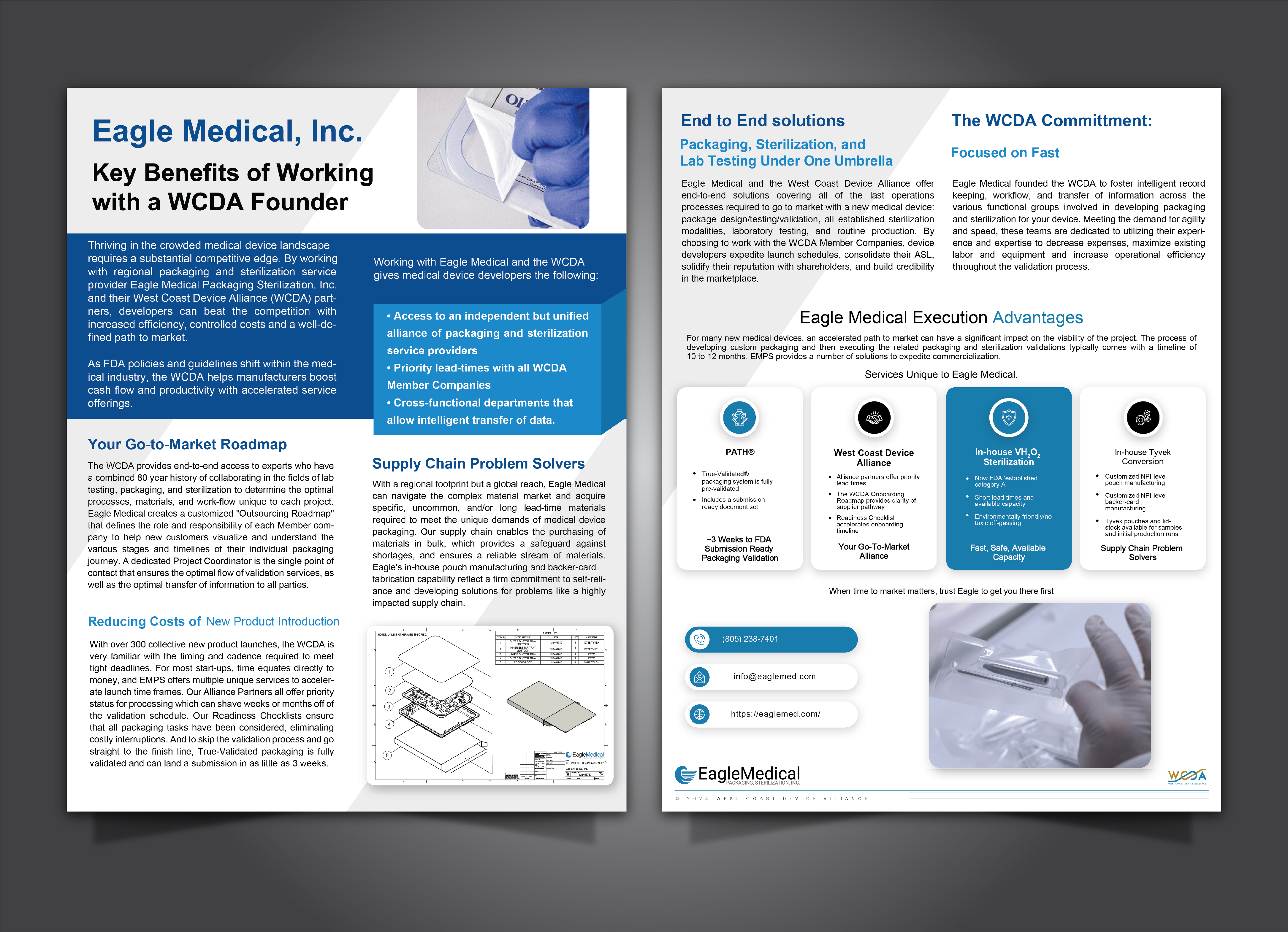 Flyer Design by HT Graphic for this project | Design #33266197