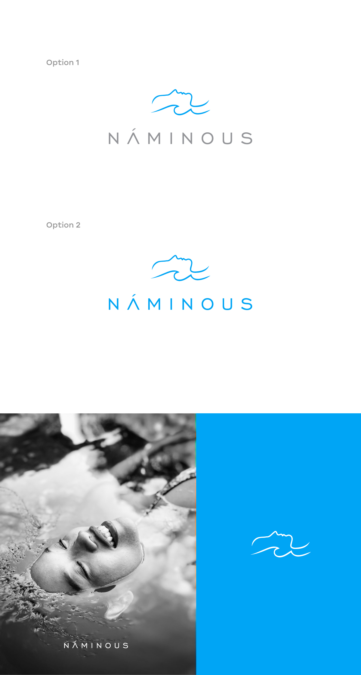 Logo Design by apik. for VampAurora | Design #33307024