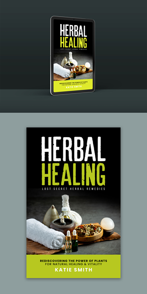 eBook Cover Design by ArtHive for this project | Design: #33288062